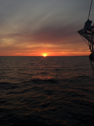 Педиатрический университет впервые принял участие в проекте «Надежда морей» 3