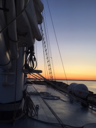 Педиатрический университет впервые принял участие в проекте «Надежда морей» 7