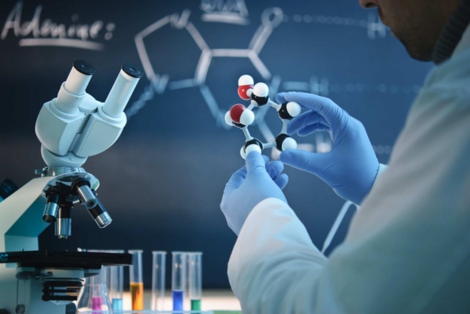 Сотрудники СПбГПМУ получили награды ко Дню российской науки