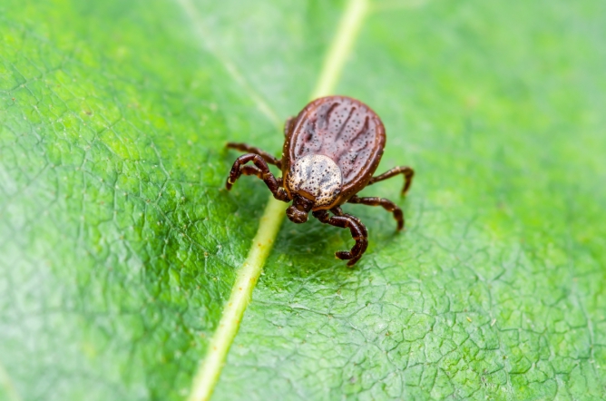 Приглашаем присоединиться к прямому эфиру в Инстаграм