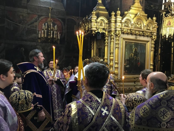 Студенты СПбГПМУ выступили с докладом на конференции в Чебоксарах 5