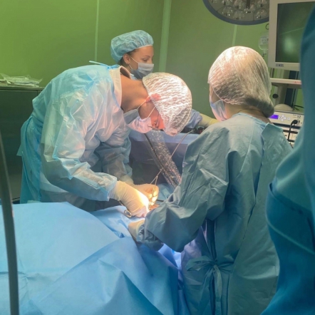 Студенты рассказали о стажировке в СПбГПМУ 3