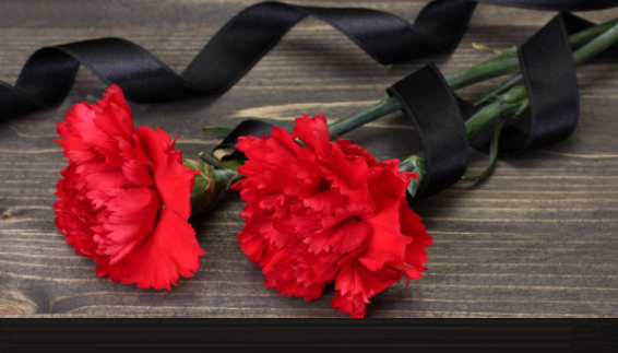 Ушел из жизни основатель российской неонатологии Николай Павлович Шабалов