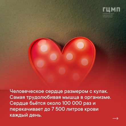 Неделя ответственного отношения к сердцу 2