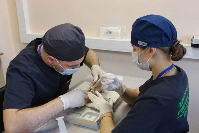 Студенты Педиатрического университета стали призёрами Северо-Западного федерального округа на отборочном этапе хирургической олимпиады имени академика Перельмана 2