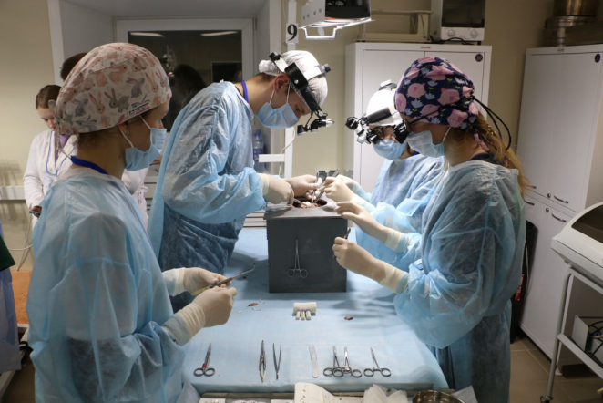 Студенты Педиатрического университета стали призёрами Северо-Западного федерального округа на отборочном этапе хирургической олимпиады имени академика Перельмана 8