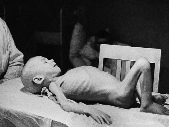 Педиатрический университет представил архивные документы в Законодательном Собрании Санкт-Петербурга 1