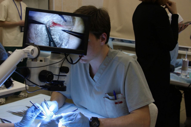 Студенты Педиатрического университета заняли призовые места на олимпиаде по нейрохирургии 2