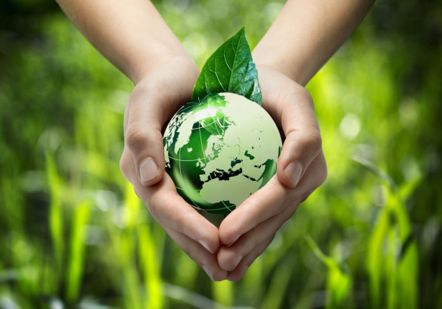 Приглашаем принять участие в международном экологическом проекте