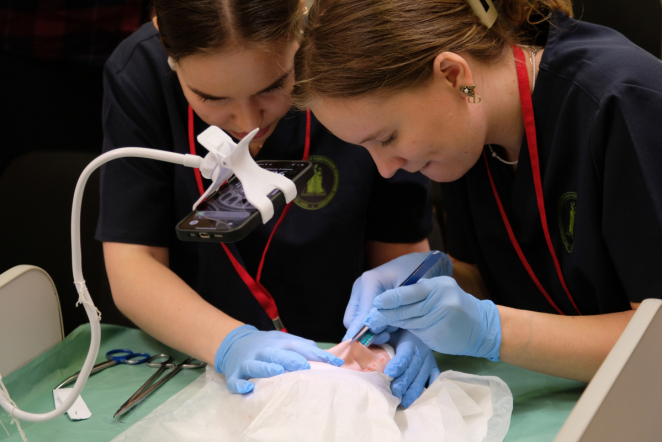 Команда Педиатрического университета завоевала «Золотой МедСкил» 13