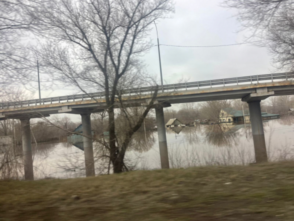 Эпидемиологи Педиатрического университета помогают детям Оренбургской области 2