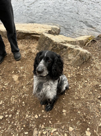 Туристический клуб Педиатрического университета «НеНой» вернулся со слета 3