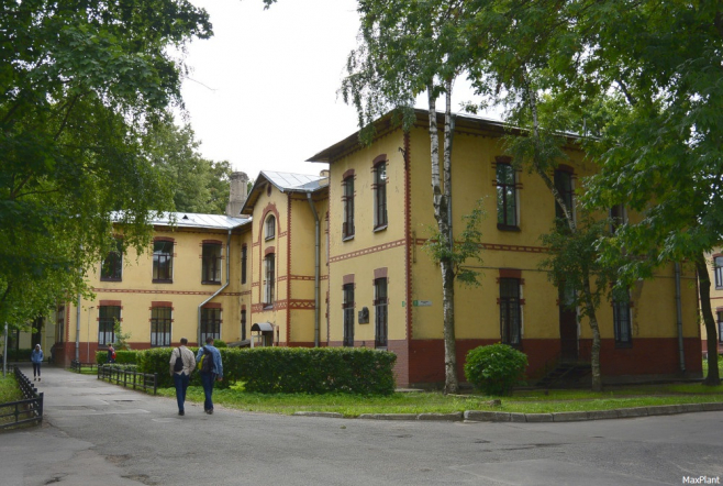 Опасное  купание: в Педиатрический университет доставили подростка, который порезал руку в водоеме