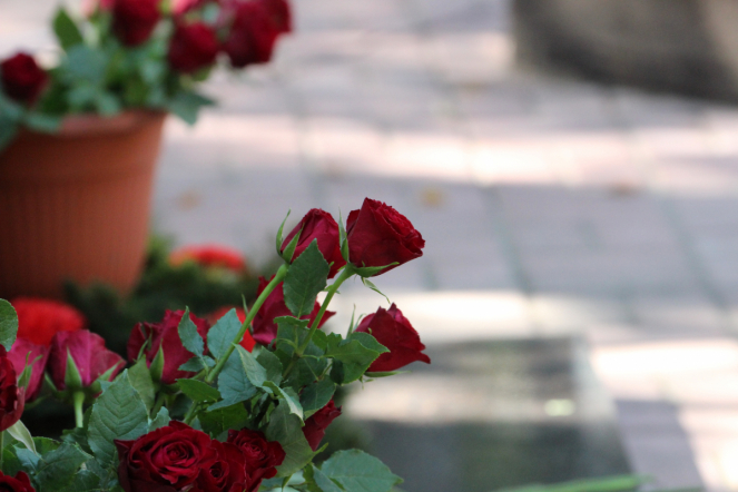 Педиатрический университет почтил память защитников Ленинграда 34