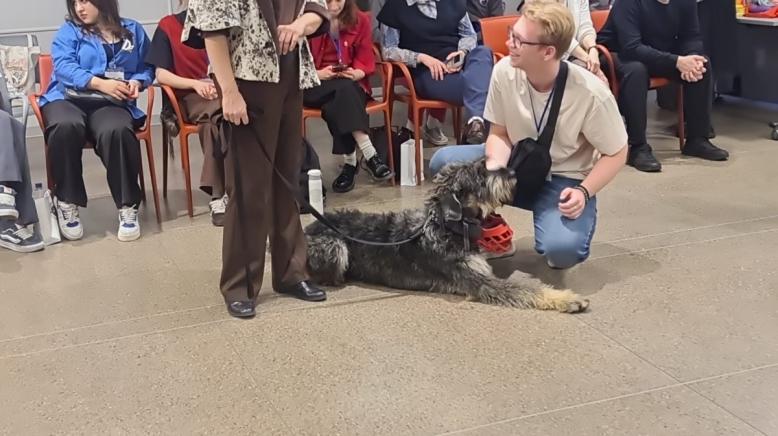 Иностранные студенты Педиатрического университета приняли участие в фестивале студентов- волонтёров 4