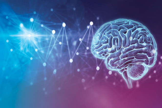 Совместное заседание СНО СПбГПМУ и СПбГУ "Эпилепсия и пароксизмальные состояния как междисциплинарная проблема"