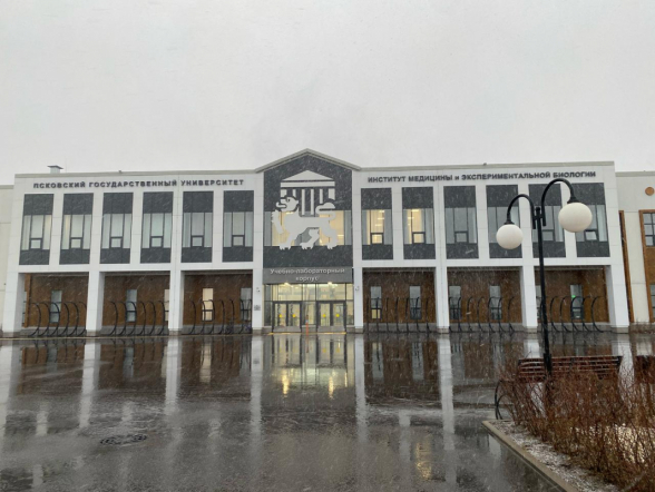 Сотрудники НМИЦ по педиатрии: В Псковской области ведётся активная работа по совершенствованию системы оказания помощи детям и будущим мамам 7