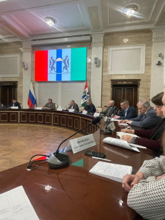 Эксперты Педиатрического университета отметили направления совершенствования системы оказания помощи детям в Новосибирской области 1