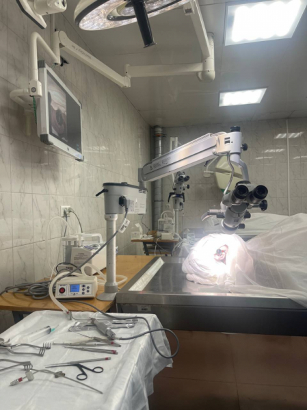 Кадавер курс «Основы отохирургии. Анатомия височной кости» впервые прошел в СПбГПМУ 1